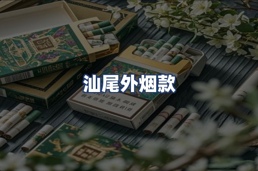 汕尾外烟款